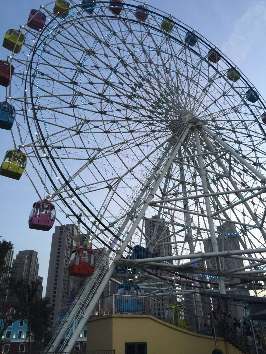 Ferris Wheel For Sale