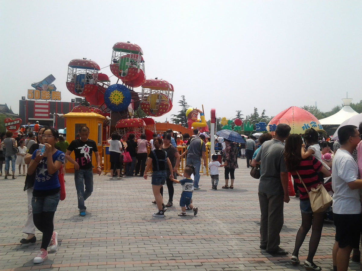 Double Side Mini Ferris Wheel