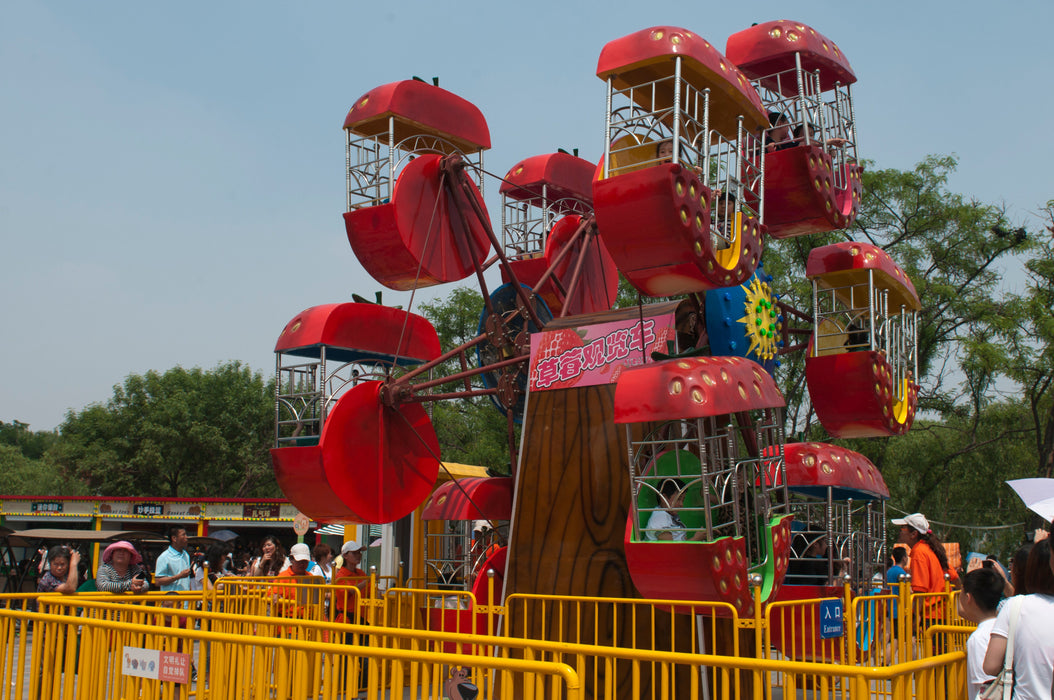 Amusement Park Rides - Double Side Mini Ferris Wheel