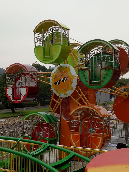 Amusement Park Rides - Double Side Fruit Ferris Wheel