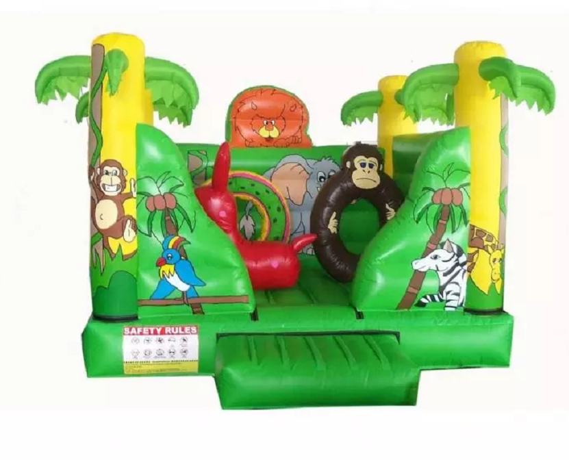 Outdoor Double Inflatable Slide