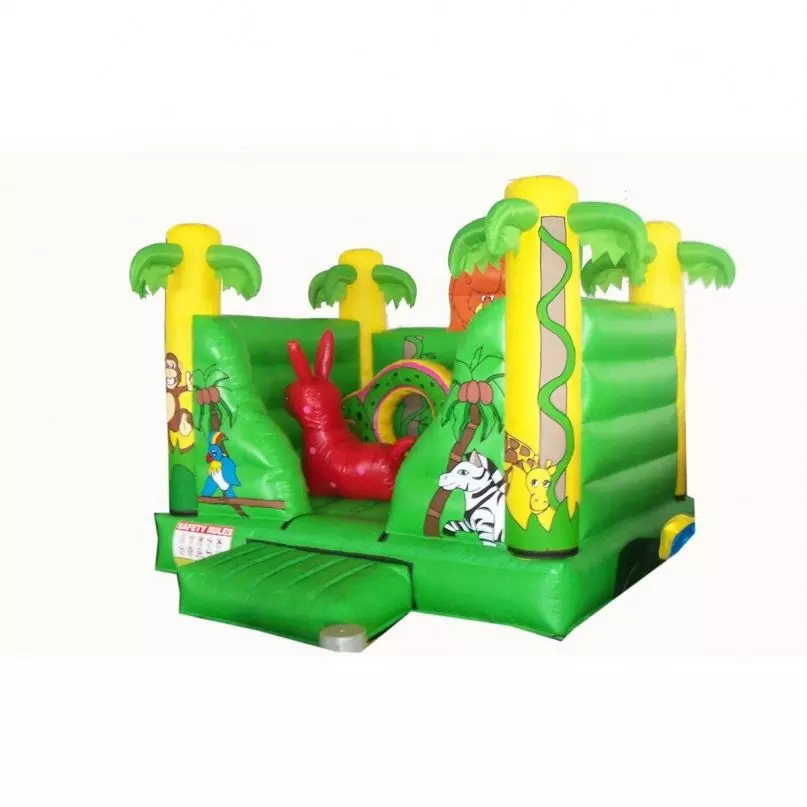 Outdoor Double Inflatable Slide