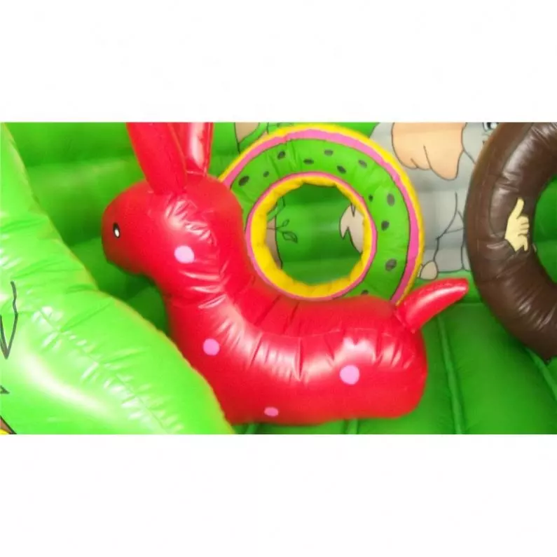 Outdoor Double Inflatable Slide