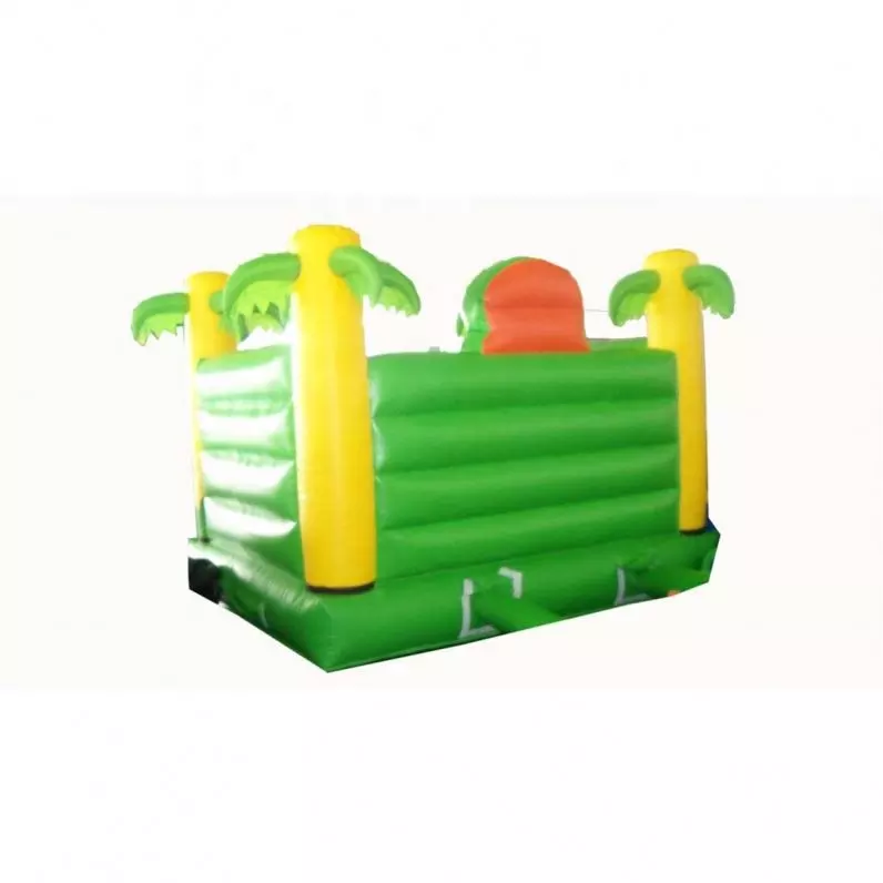Outdoor Double Inflatable Slide