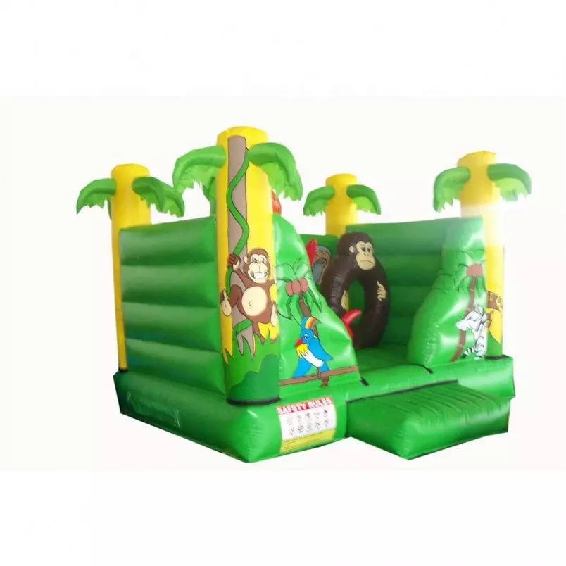 Outdoor Double Inflatable Slide