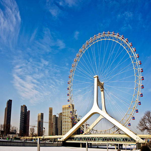 Customized Ferris Wheel