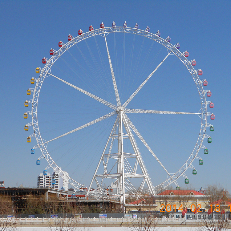 Customized Ferris Wheel