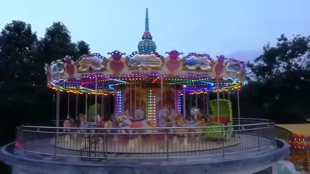 Carousel Horse Ride