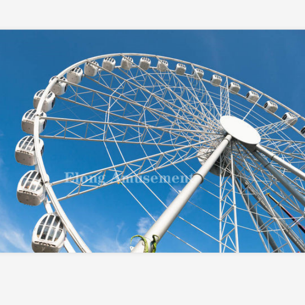 30 -Meter Swing Ferris Wheel