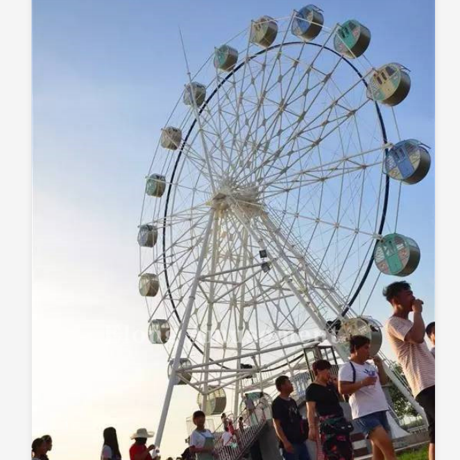 30 -Meter Swing Ferris Wheel
