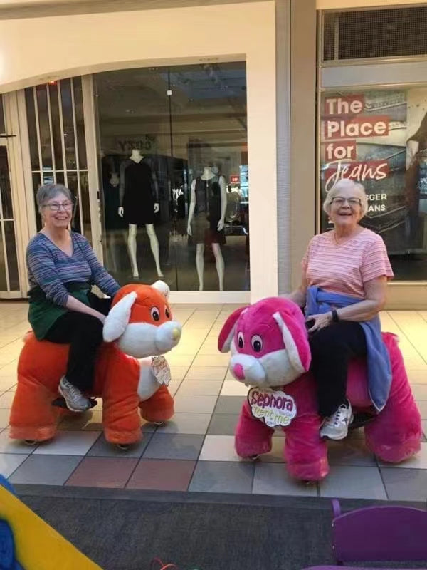Child Car Animal Ride