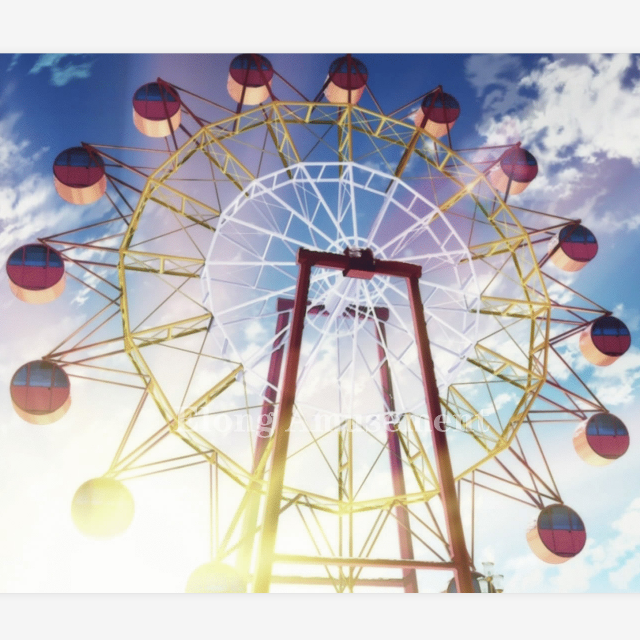 30/40/42/46/50/65/88m Ferris Wheel