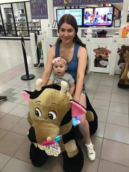 Child Car Animal Ride