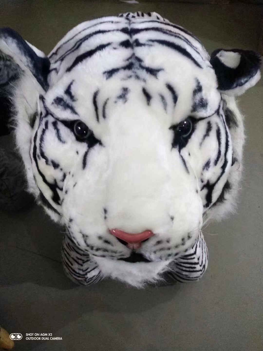 White Tiger Animals Rideable