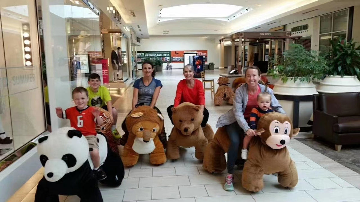 Child Car Animal Ride