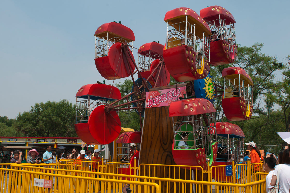 Double Side Mini  Ferris Wheel