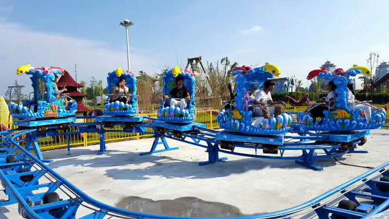 Ocean Roller Coaster