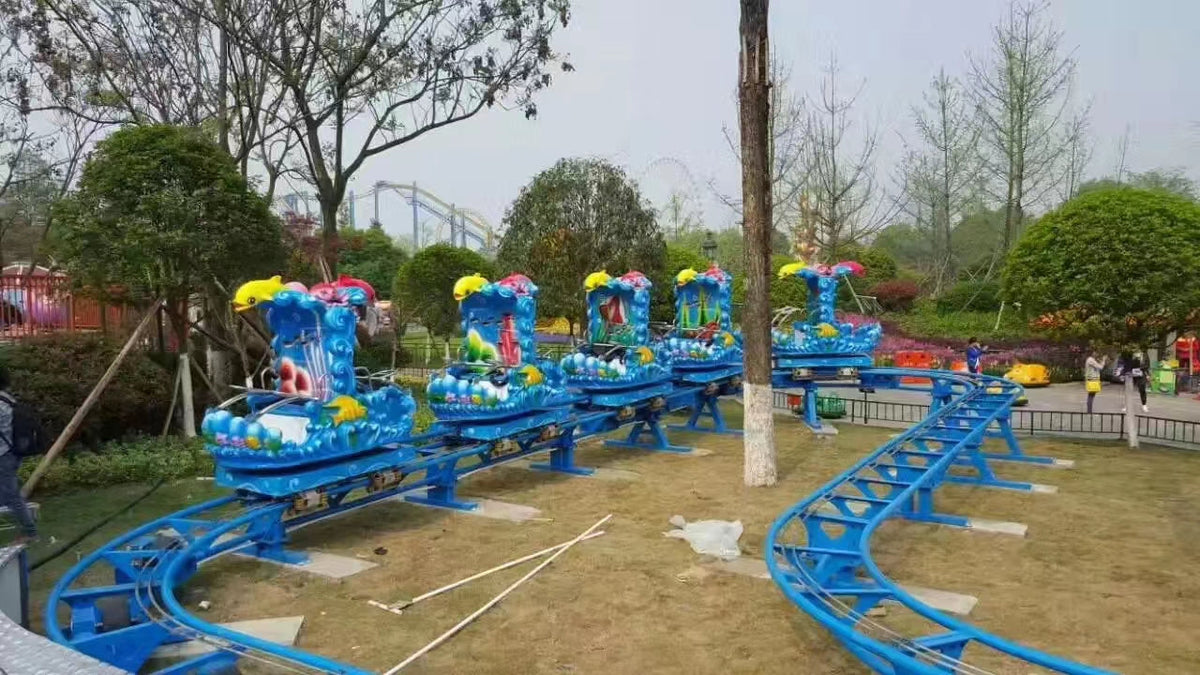Ocean Roller Coaster