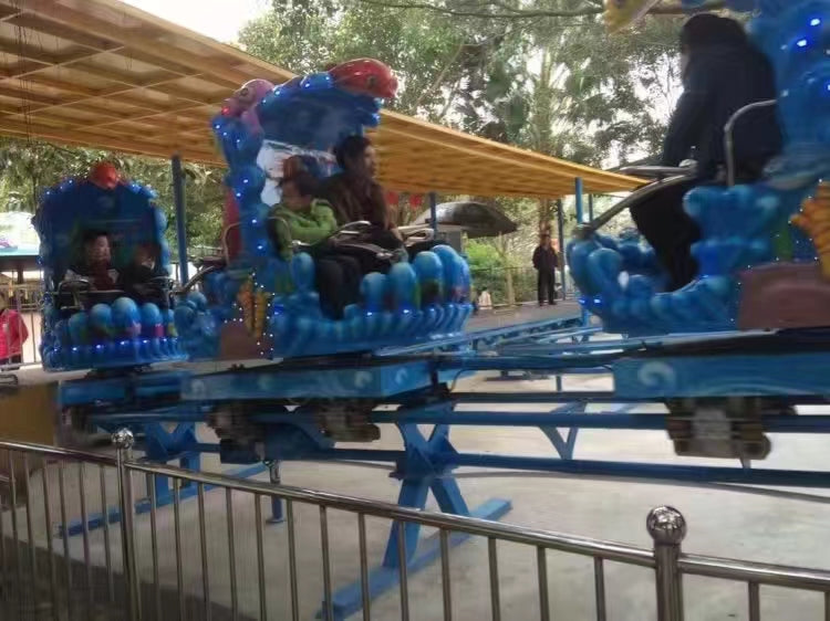 Ocean Roller Coaster