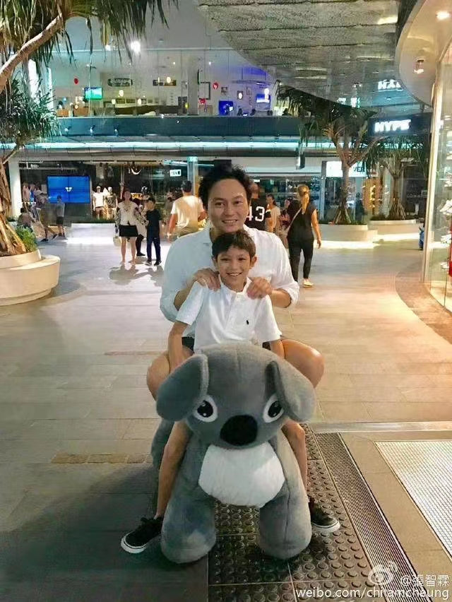 Animal Ride On Toy For Mall
