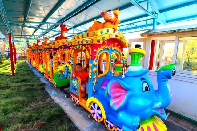 Elephant Train