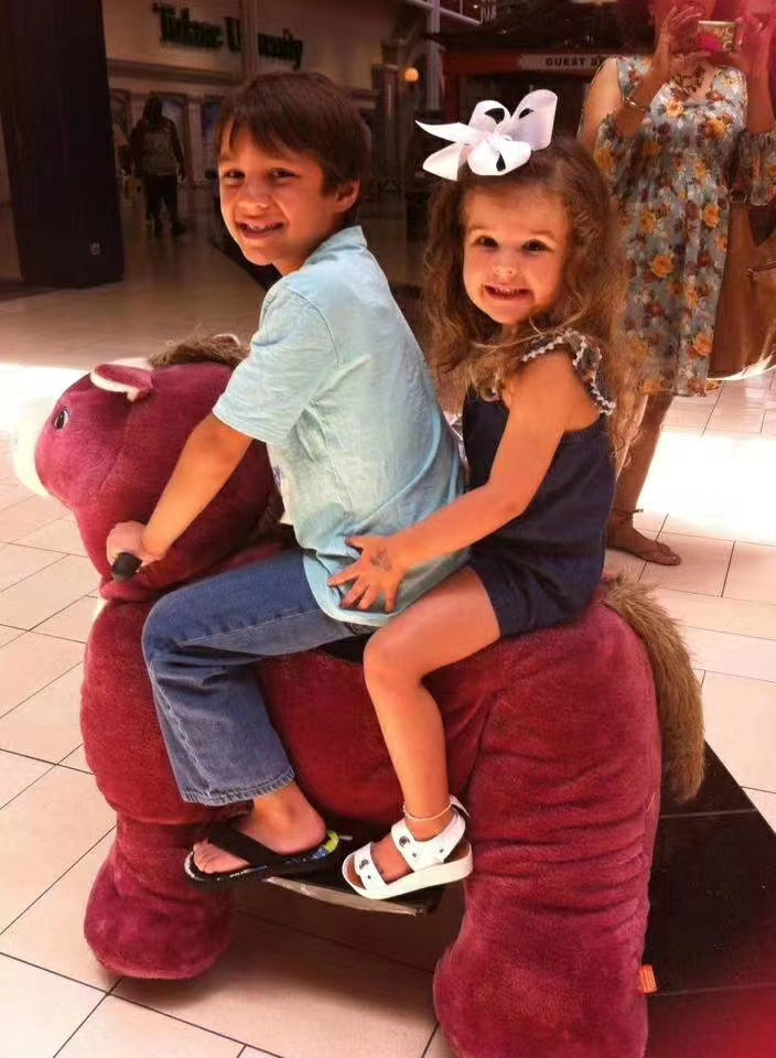 Child Car Animal Ride