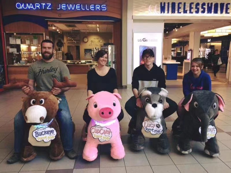 Remote Control Plush Animal Car