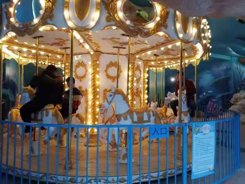 24 Seats Carousel