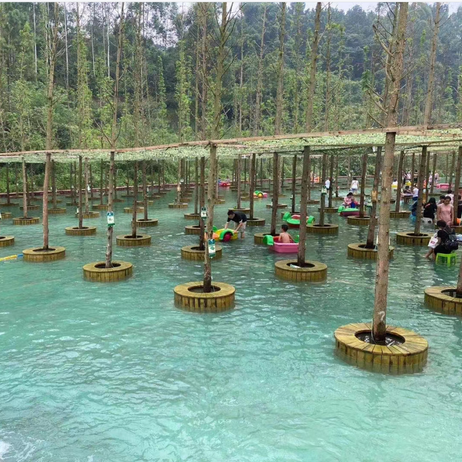 Hand Paddle Boat